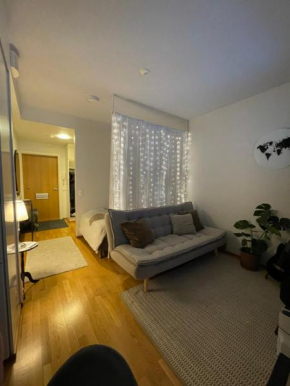 Cozy Studio Apartment, Rovaniemi
